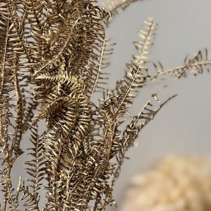 Konservierter Farn: Zauberhafte Momente für Dein Zuhause 