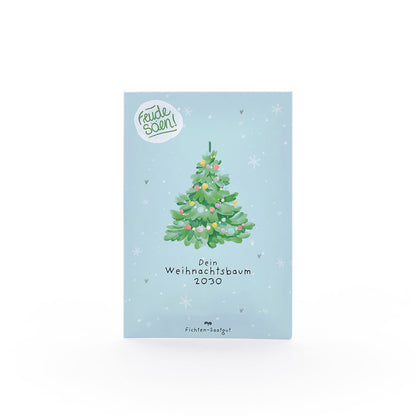 Fichten-Saatgut "Weihnachtsbaum 2030" 
