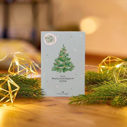 Fichten-Saatgut "Weihnachtsbaum 2030" 