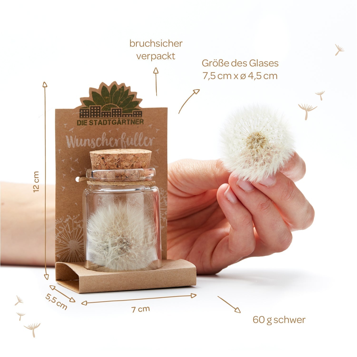 Großer Wunscherfüller – Pusteblume im Glas 