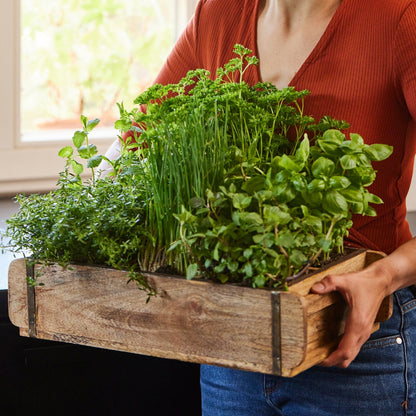 Ziegelform mit 6 Fächern 