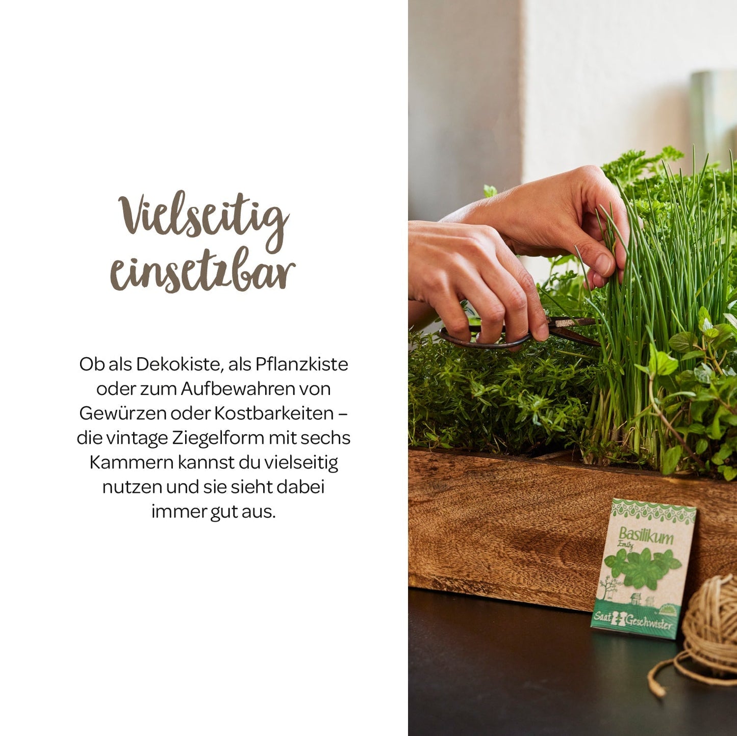 Ziegelform mit 6 Fächern 