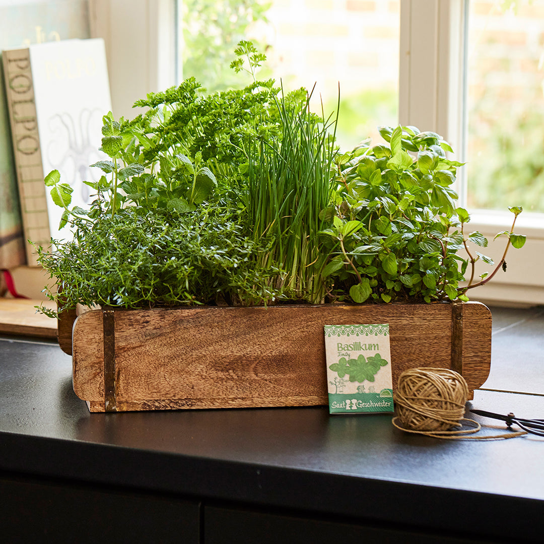 Ziegelform mit 6 Fächern 