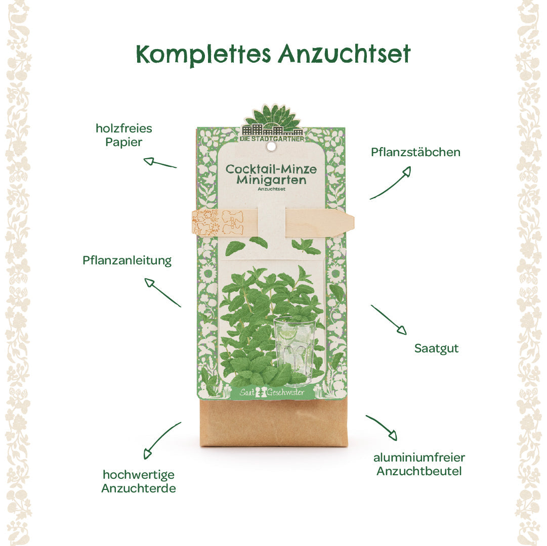 Anzuchtset – Minigarten Cocktail Minze 