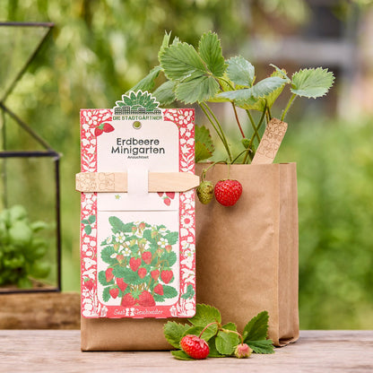 Anzuchtset – Minigarten Erdbeeren 