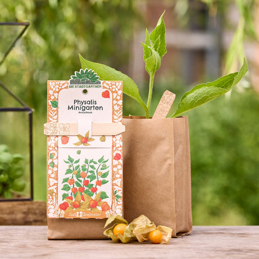 Anzuchtset – Minigarten BIO-Physalis 