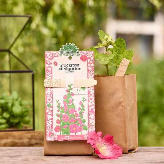 Anzuchtset – Minigarten Stockrose 