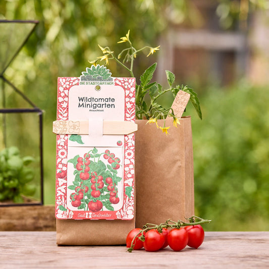Anzuchtset – Minigarten BIO-Wildtomate 
