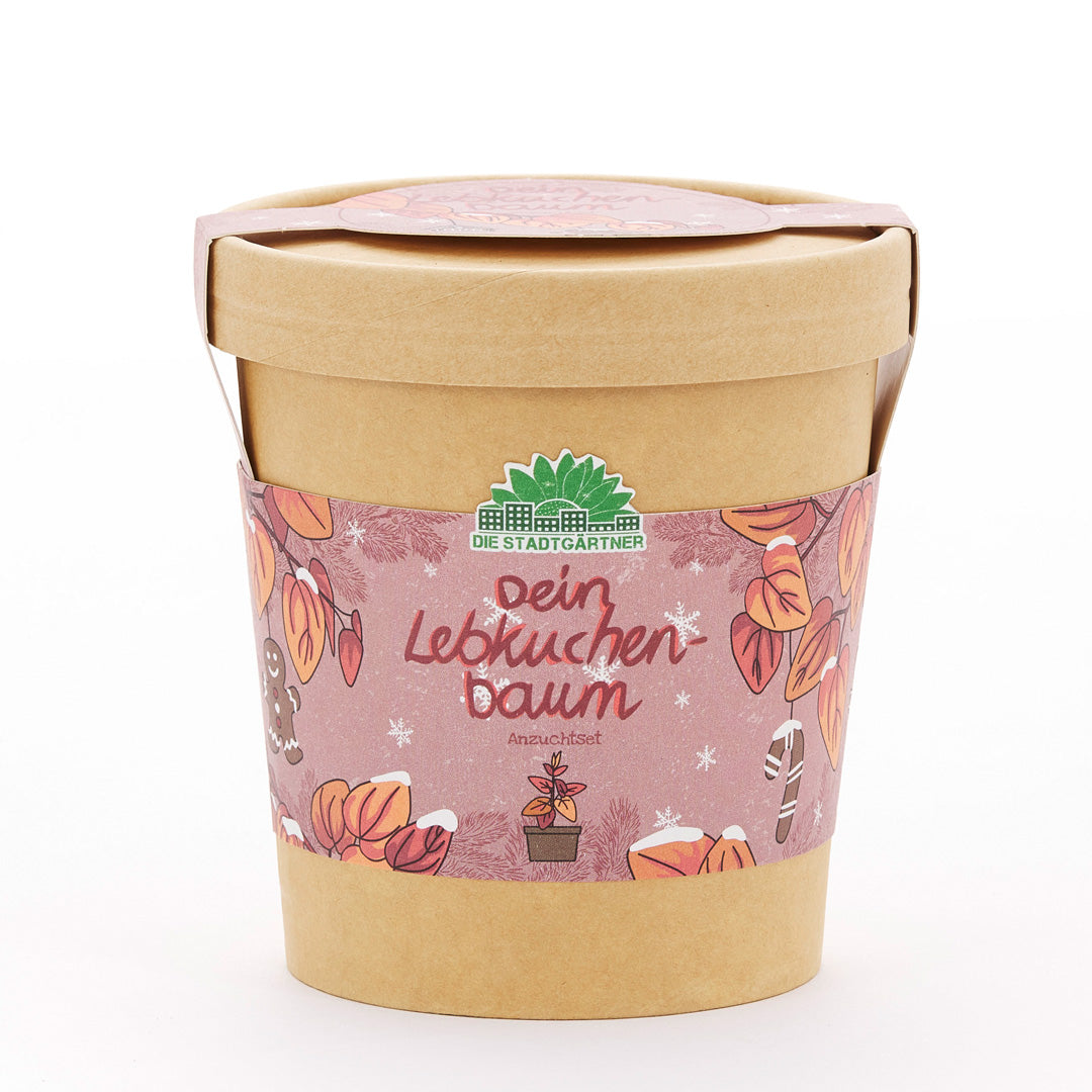 Lebkuchenbaum aus dem Becher 