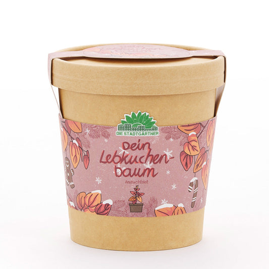 Lebkuchenbaum aus dem Becher 