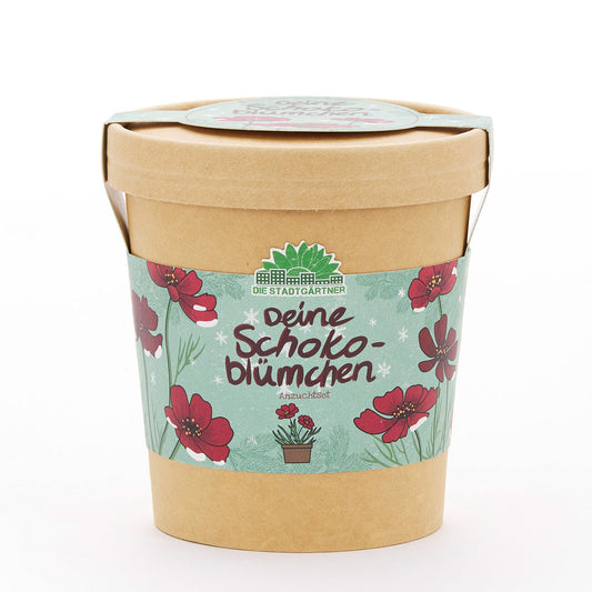 Schokoblumen aus dem Becher 