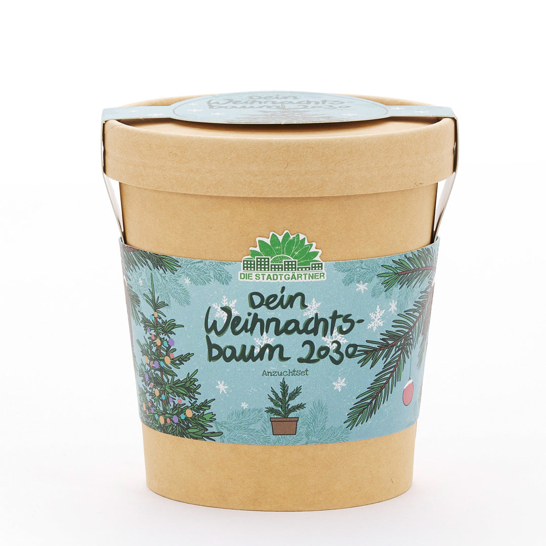 Weihnachtsbaum 2030 aus dem Becher 