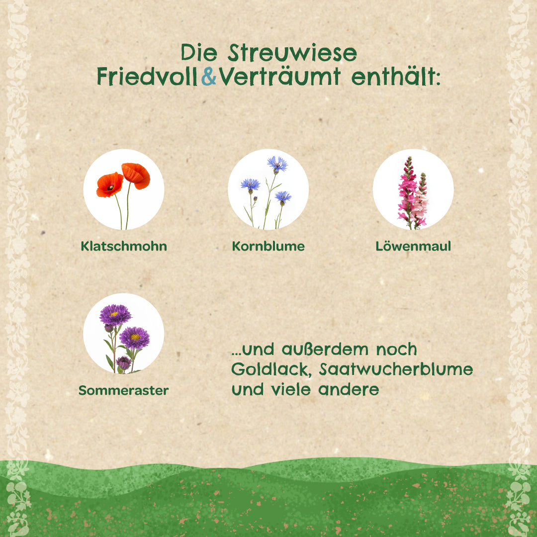 Streuwiese "Friedvoll & Verträumt" 