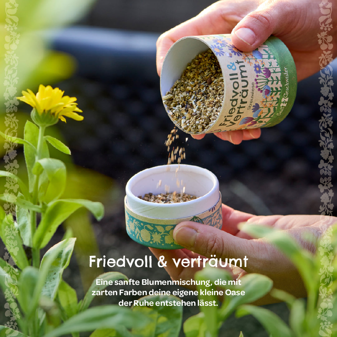 Streuwiese "Friedvoll & Verträumt" 