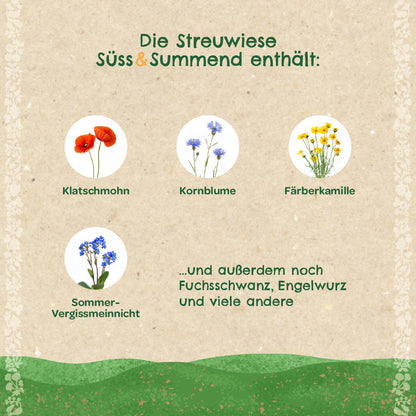 Streuwiese "Süß & Summend" 
