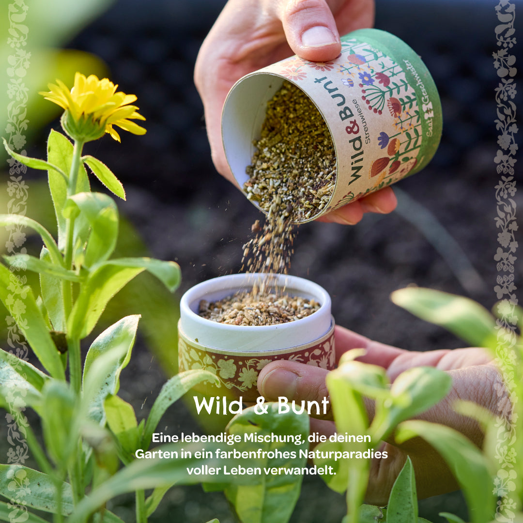 Streuwiese "Wild & Bunt" 