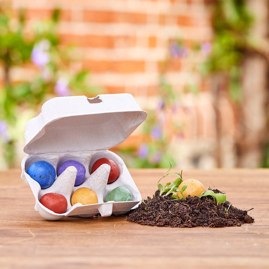 6 bunte Blumenmurmeln im Eierkarton 