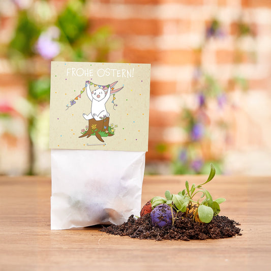10x5 Blumenmurmeln im Tütchen "Osterhase" 