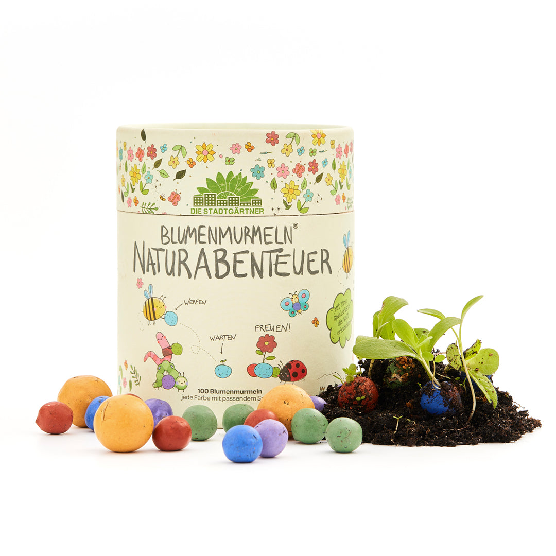 Naturabenteuer – Dose mit 100 Blumenmurmeln 
