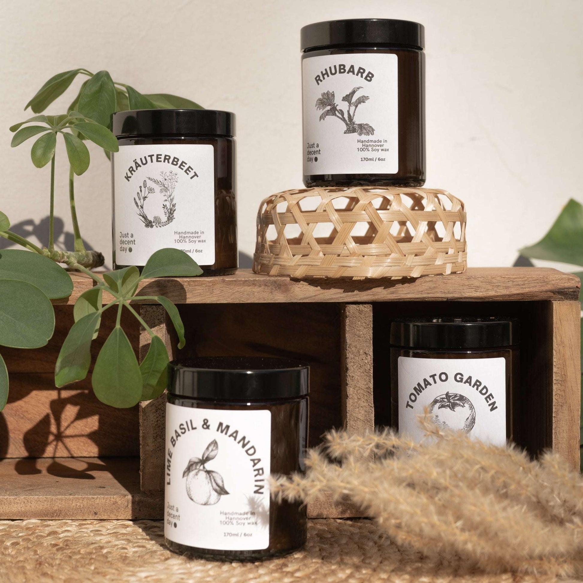 Duftkerze Lime Basil & Mandarin – Gardening Collection – 170ml Sojawachs – Frischer Gartenduft mit Limette Basilikum & Hölzern – Aromakerze im Glas