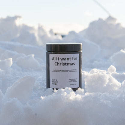 Duftkerze All I Want for Christmas – Weihnachtsduft Kerze aus Sojawachs – 170ml – Apfel Zimt Vanille Tanne Weihrauch – Aromakerze im Glas