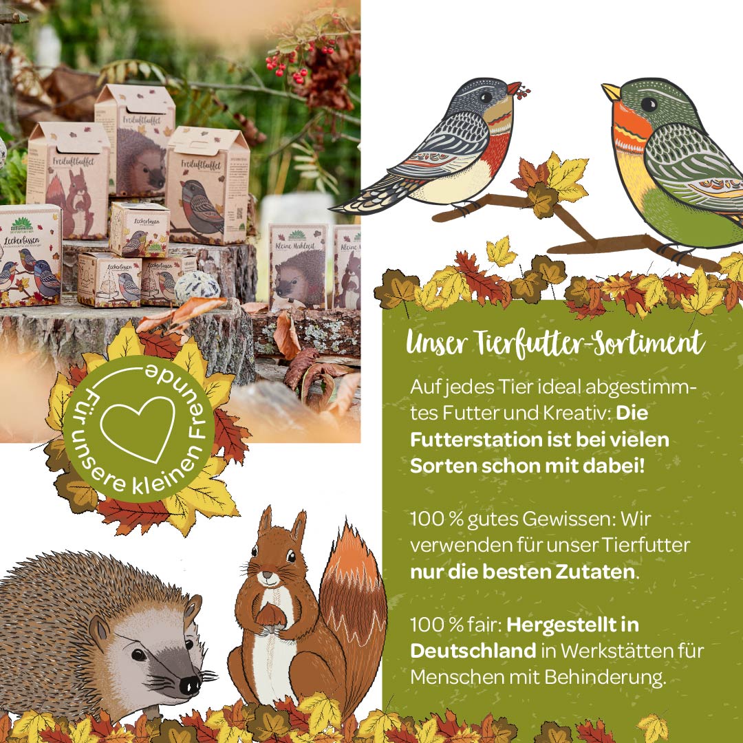 3 kleine Mahlzeiten für Igel, Eichhörnchen & Vögel 