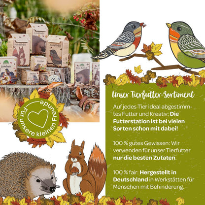 3 kleine Mahlzeiten für Igel, Eichhörnchen & Vögel 