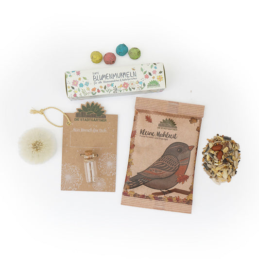 3er Set für deinen Adventskalender 