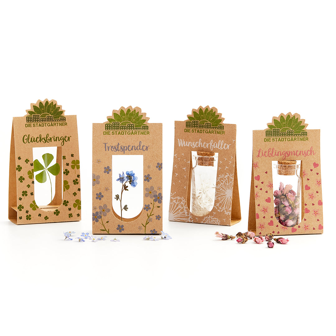 Set mit 4 Emotionsbringern 