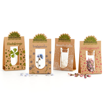 Set mit 4 Emotionsbringern 