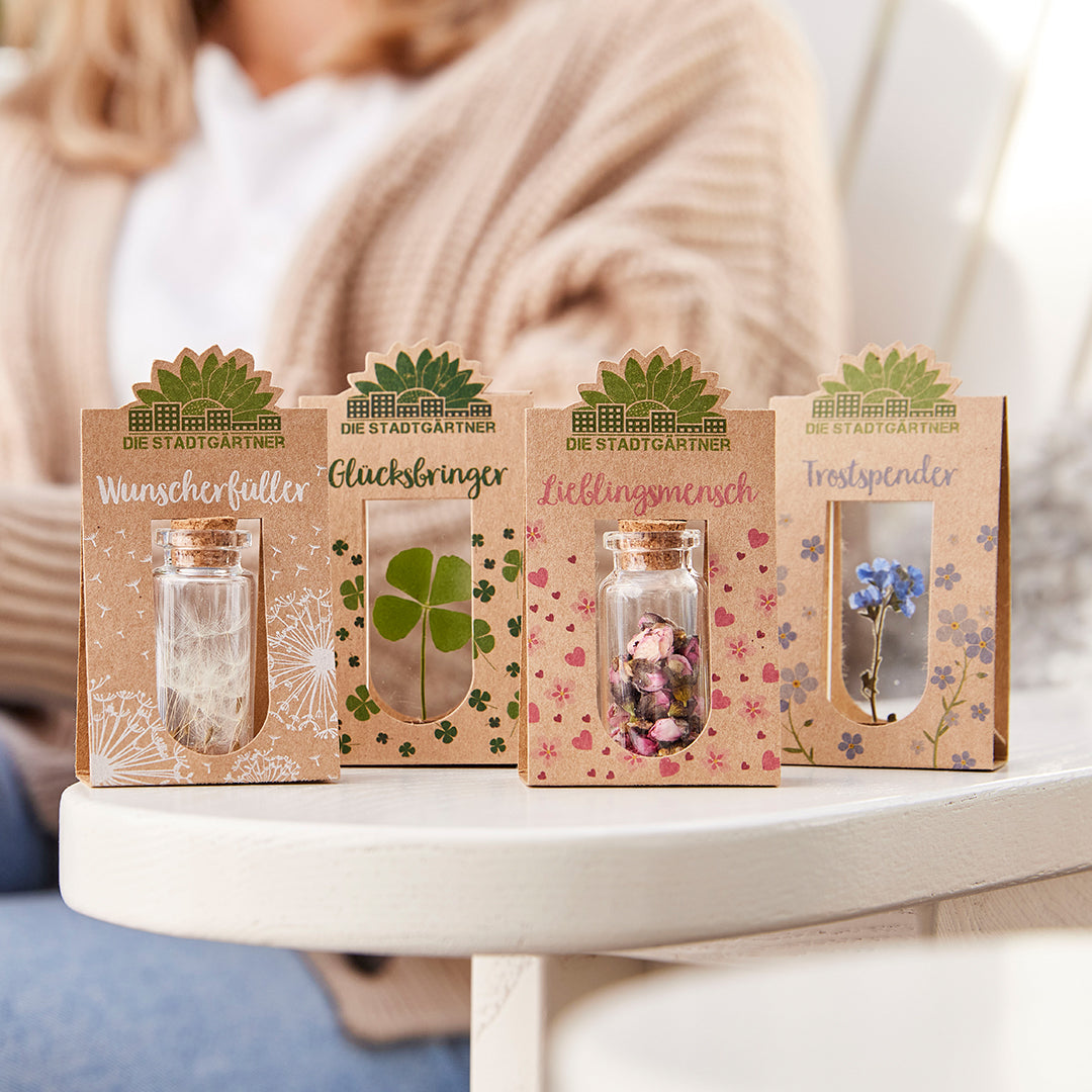 Set mit 4 Emotionsbringern 