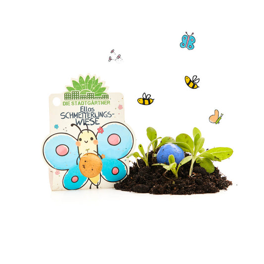 1 Blumenmurmel "Ellas Schmetterlingswiese" 
