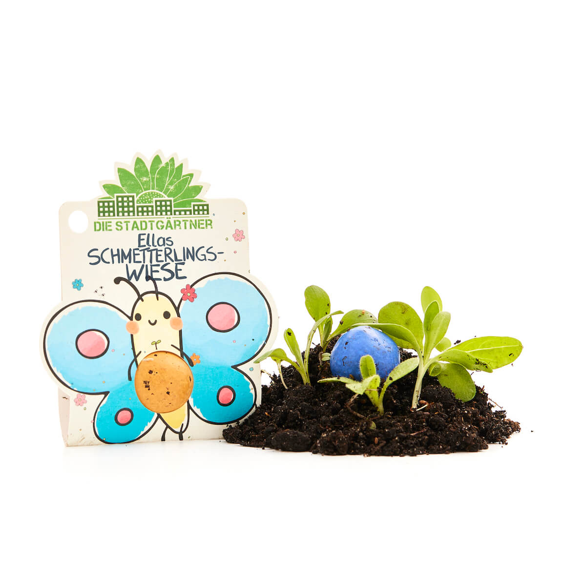 1 Blumenmurmel "Ellas Schmetterlingswiese" 