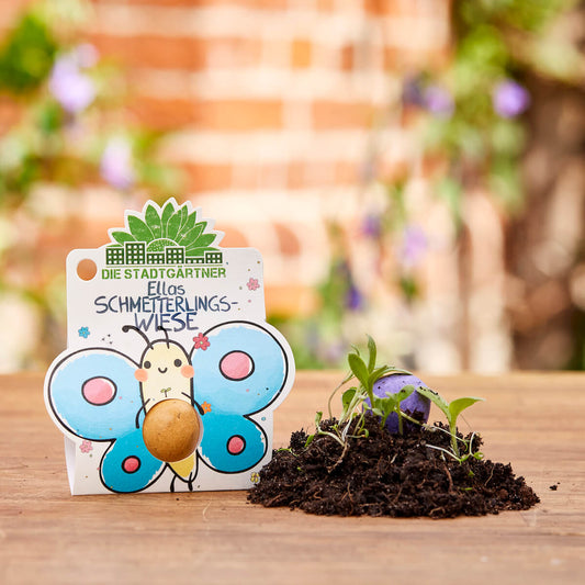 1 Blumenmurmel "Ellas Schmetterlingswiese" 