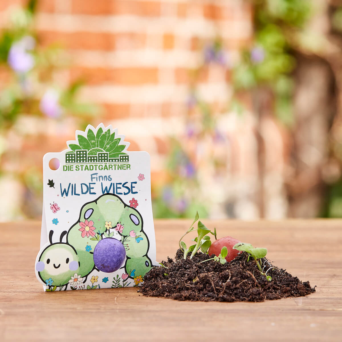3 x 1 Blumenmurmel – Alle Sorten 