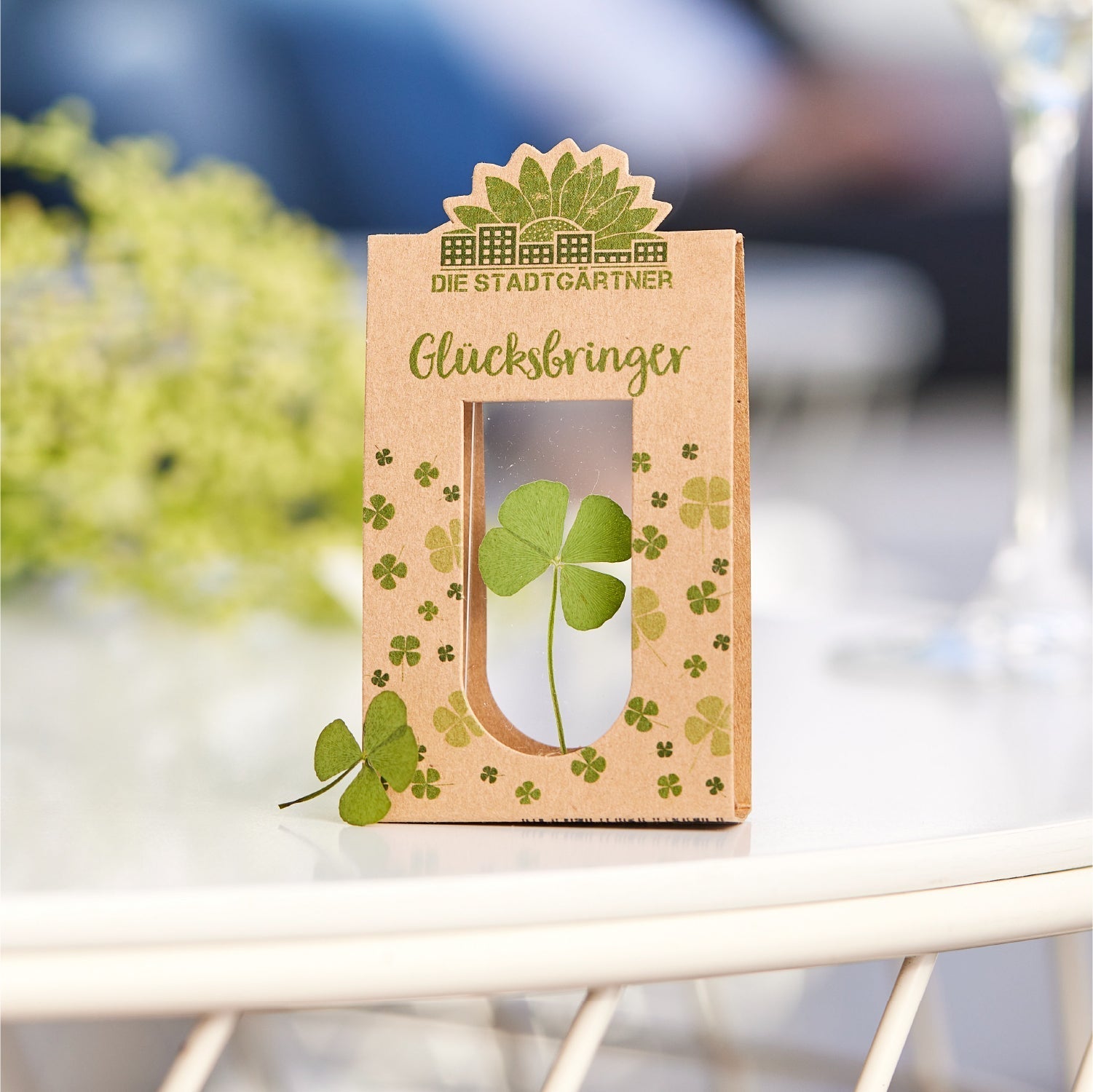 Glücksbringer – Echtes Kleeblatt 