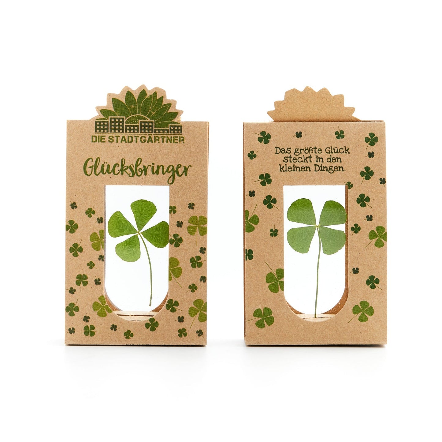 Glücksbringer – Echtes Kleeblatt 