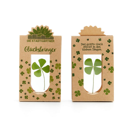 Glücksbringer – Echtes Kleeblatt 
