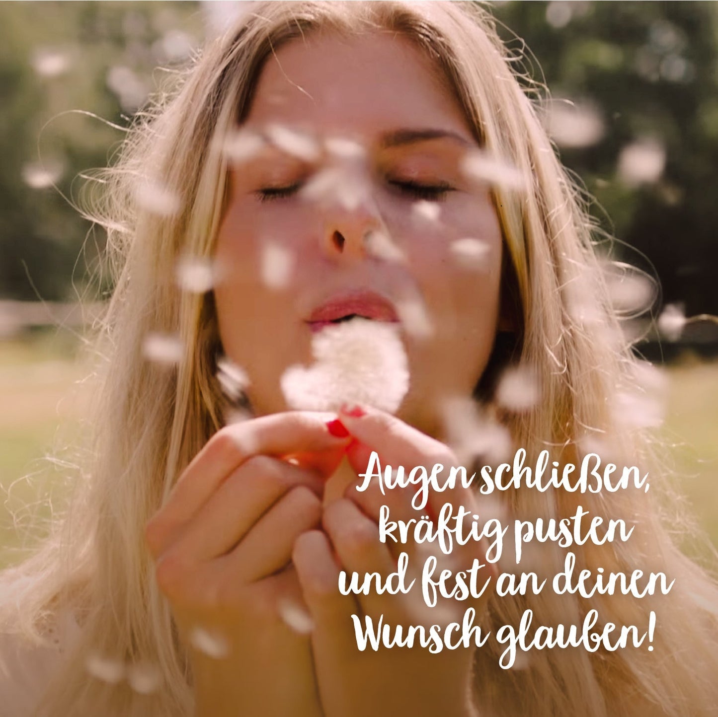 Wunscherfüller mit Pusteblumen-Schirmchen 