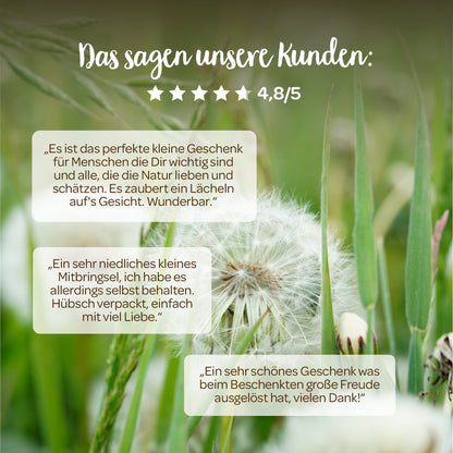 Wunscherfüller mit Pusteblumen-Schirmchen 