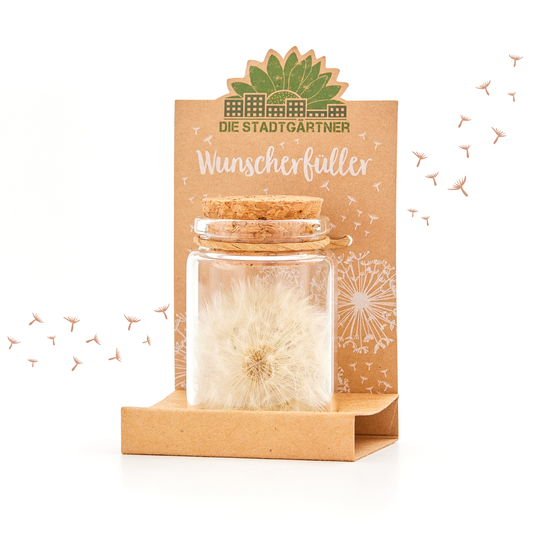 Großer Wunscherfüller – Pusteblume im Glas 