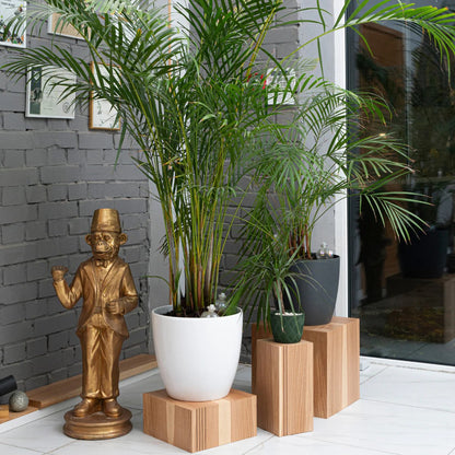 Floor Planter Podium Wooden Cubes (Set of 3) 