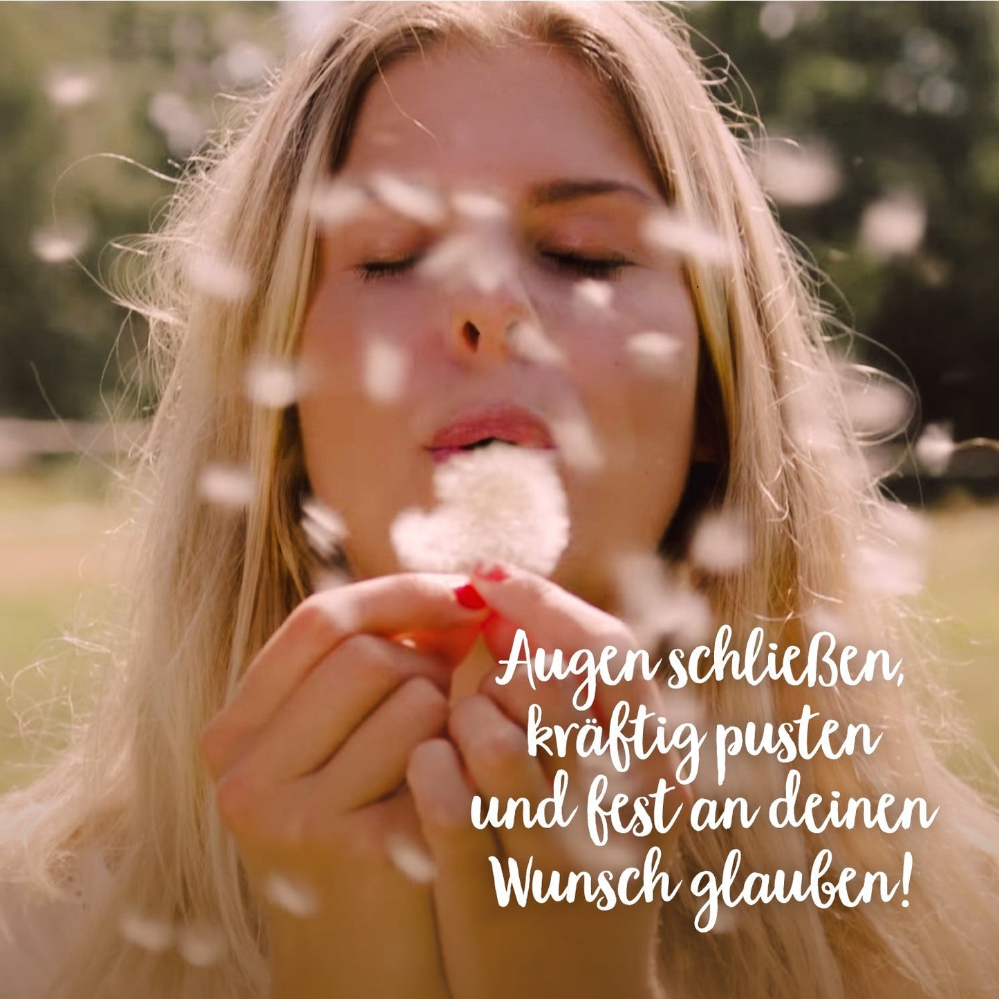 Kleiner Wunscherfüller 