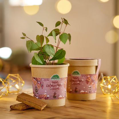 Lebkuchenbaum aus dem Becher 