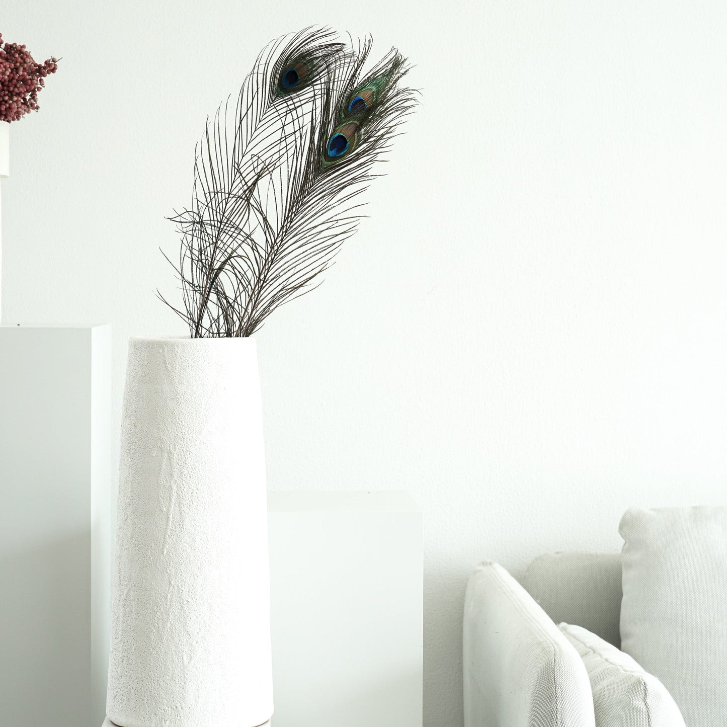 Pfauenfeder 3 Stiele 