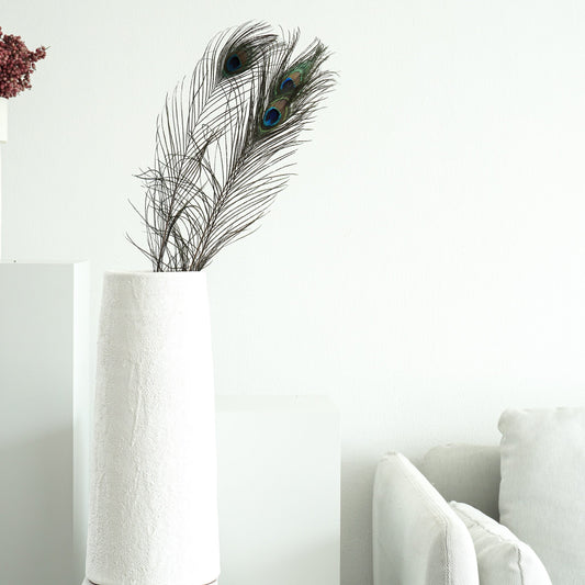 Pfauenfeder 3 Stiele 