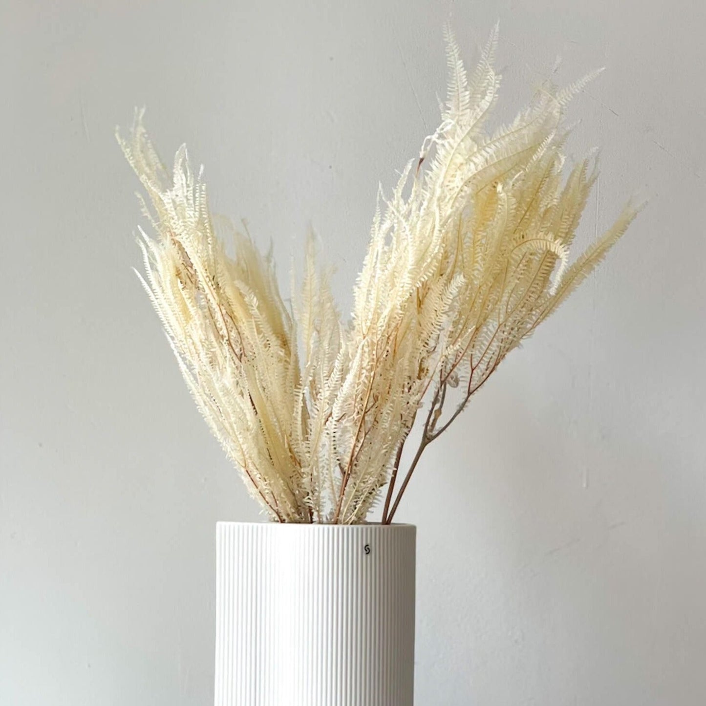 Konservierter Farn: Zauberhafte Momente für Dein Zuhause 