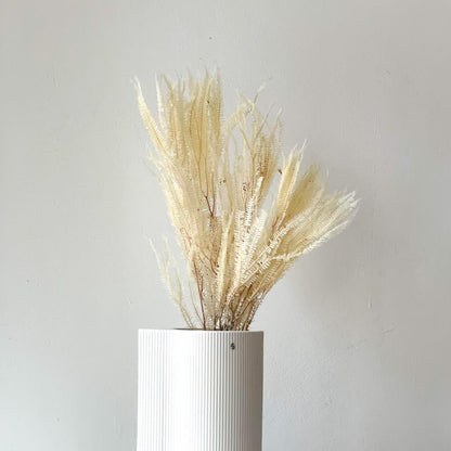 Konservierter Farn: Zauberhafte Momente für Dein Zuhause 