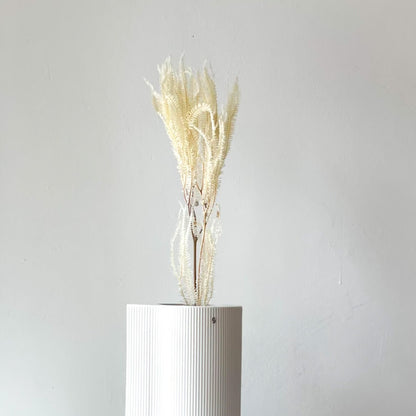 Konservierter Farn: Zauberhafte Momente für Dein Zuhause 