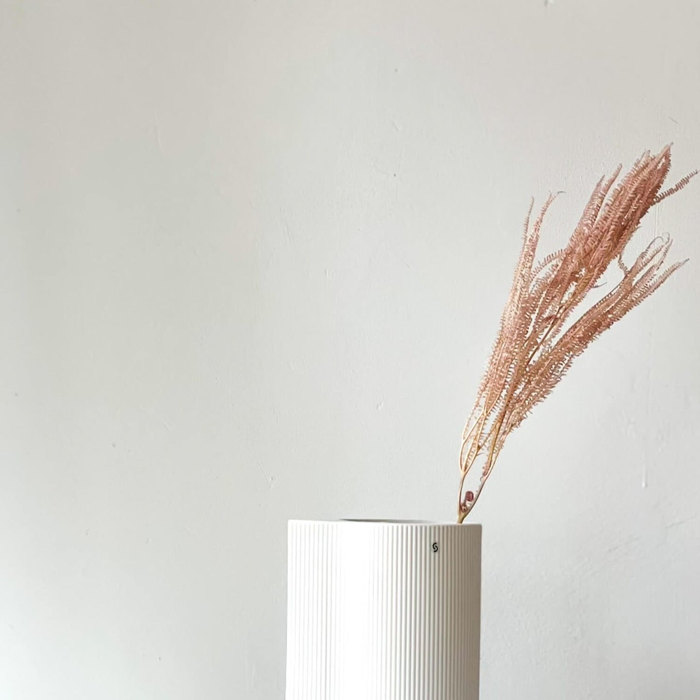 Konservierter Farn: Zauberhafte Momente für Dein Zuhause 